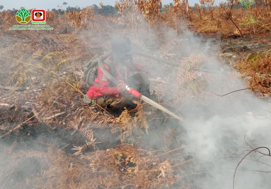 16 Hari Petugas Berjibaku, Karhutla di Inhu Telah Meluas 434 Hektare