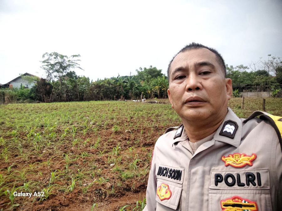 Dukung Ketahanan Pangan, Bhabinkamtibmas Desa Sukadamai Cek Lahan Jagung di Kp. Gebang