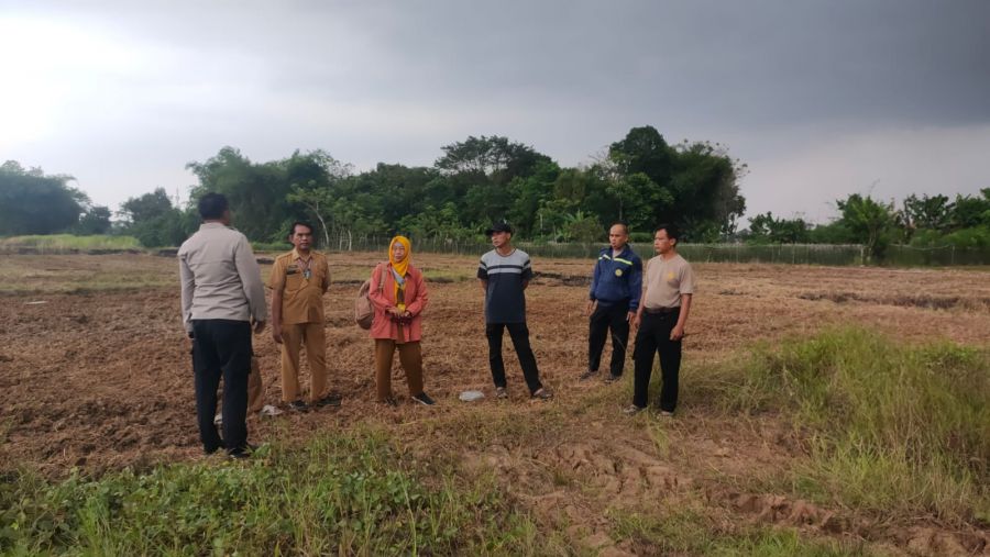 Kapolsek Kresek Bersama PPL dan Kelompok Tani Tinjau Lahan Penanaman Jagung di Desa Talok