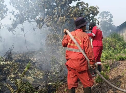 Kebakaran Hutan dan Lahan Kembali Terjadi di Wilayah Kampar