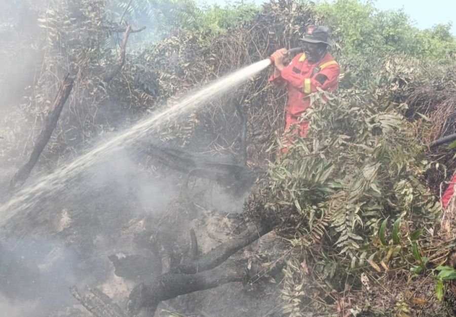 Lahan di Tiga Desa Provinsi Riau Terbakar Mencapai Lebih dari 1.190 Hektare