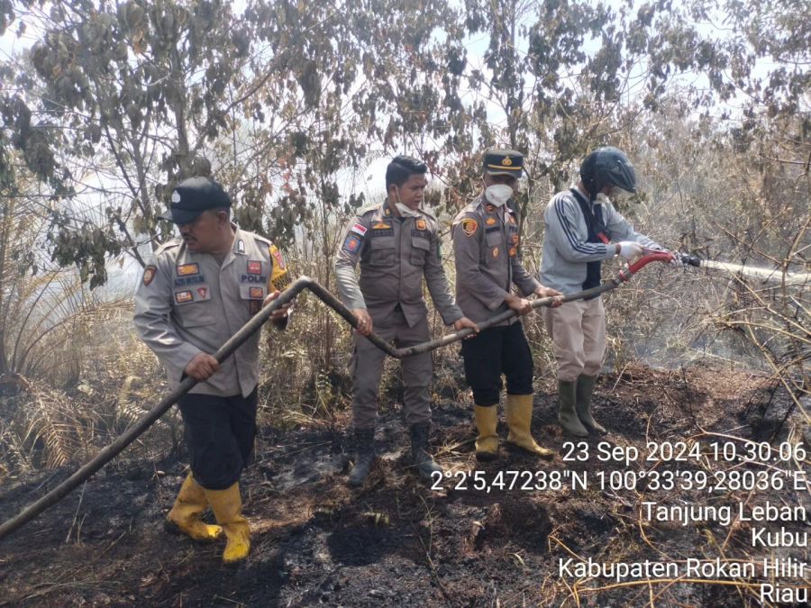 Lahan Sawit 25 Hektare di Rohil, Terbakar Hebat