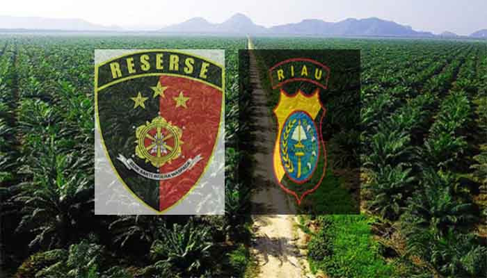 LSM Amatir Resmi Laporkan Kasus Perambahan Hutan dan Perkebunan Ilegal ke Polda Riau