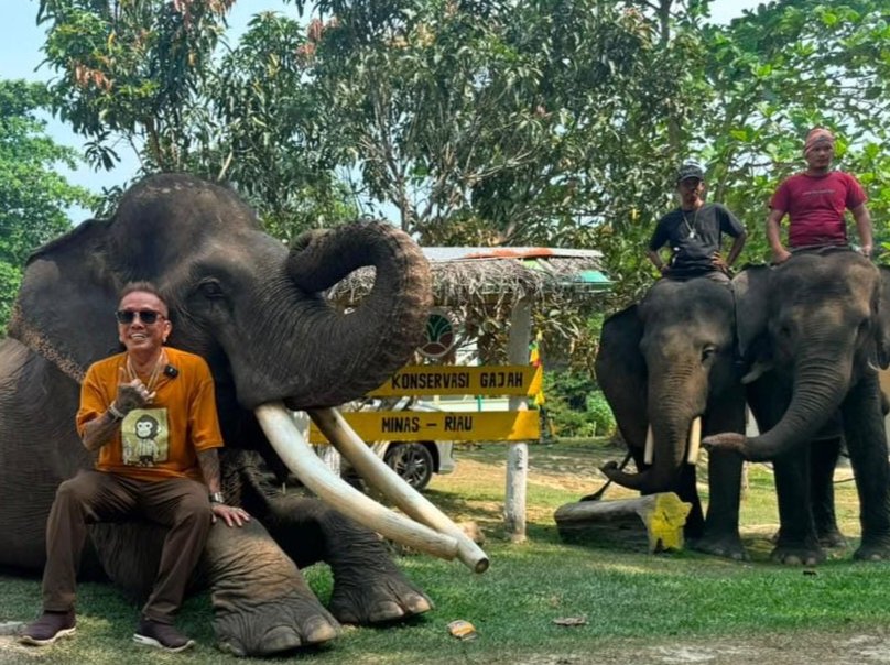 OPA GAUL Kunjungi Pusat Pelatihan Gajah di Minas, Ajak Masyarakat Jaga Kelestarian Satwa