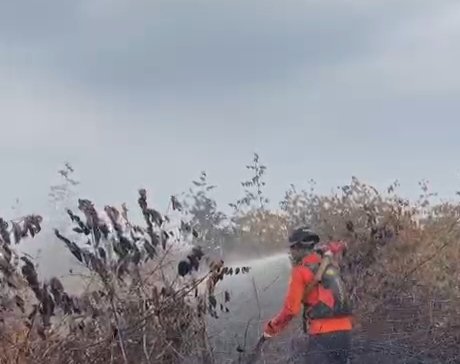 Pekanbaru Masih Tertutup Kabut Asap, BMKG : Hasil Kualitas Udara Tidak Sehat