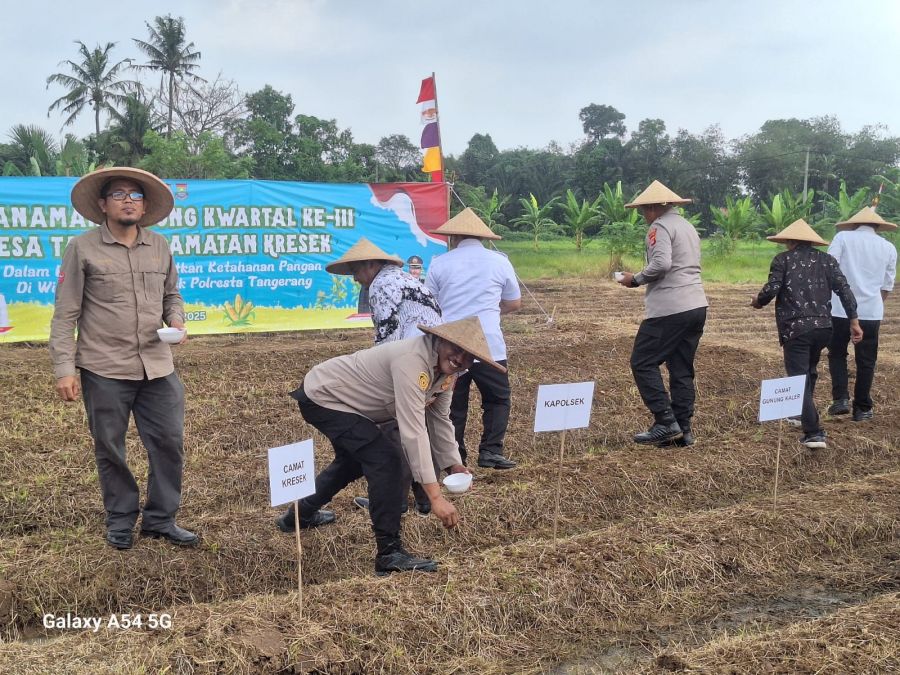 Penanaman Jagung Serentak Bersama Kapolri, Kapolresta Tangerang Siap Dukung Ketahanan Pangan