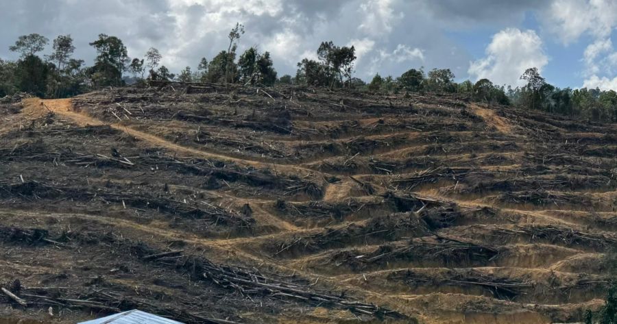 Polda Riau Bongkar Aksi Pelaku Perusak Hutan Lindung di Kampar