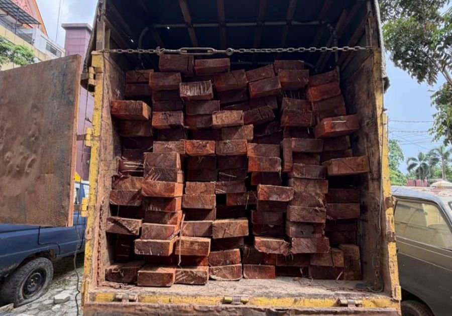 Polda Riau Bongkar Aksi Perusakan Hutan Konservasi Giam Siak Kecil, 10 Kubik Kayu Ilegal Disita
