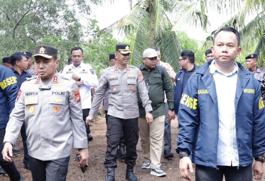 Polda Riau Bongkar Perambahan Mangrove di Rupat, 140 Ton Arang Bakau Disita