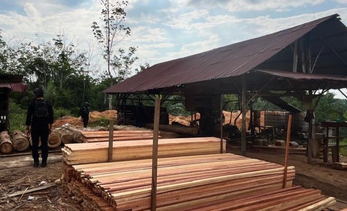 Polda Riau Sita Ratusan Kayu Ilegal di Sawmil Kampar, Satu Orang di Tahan