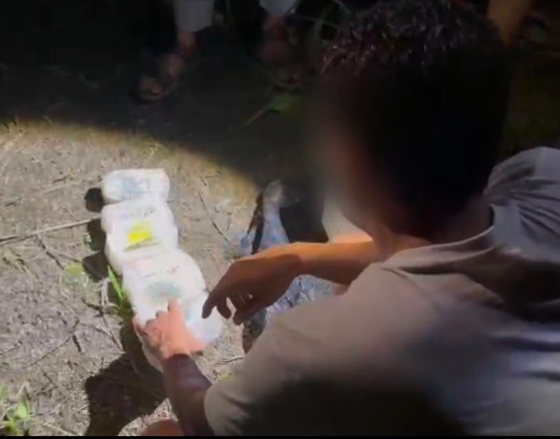 Polisi Bongkar 7 Kg Sabu yang Ditanam 3 Pelaku di Kebun Sawit Bengkalis
