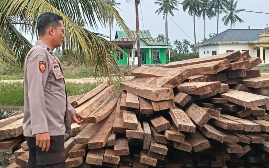 Polres Rohil Sita 10 Ton Kayu Olahan Ilegal Dari Kawasan Hutan