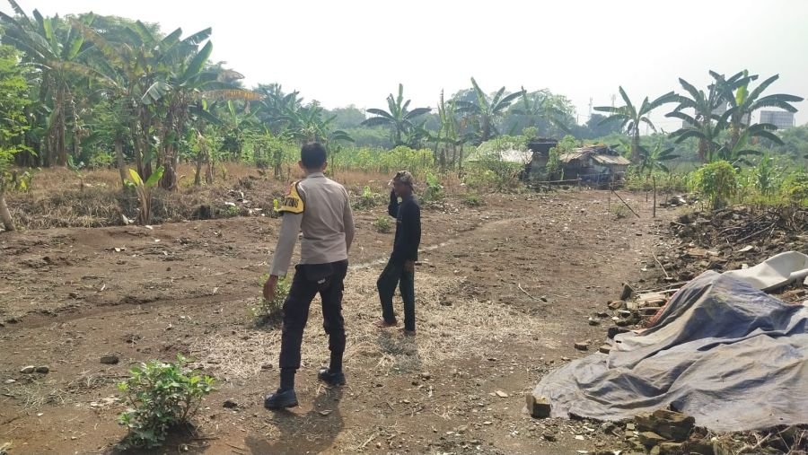 Polsek Cikupa Bersama Poktan Buka Lahan Jagung Hibrida, Tingkatkan Produktivitas Pangan