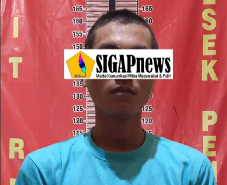 Pria ini Diamankan Team Srigala Unit Reskrim Polsek Penukal Abab Lantaran AR diduga Mencuri Sawit PT