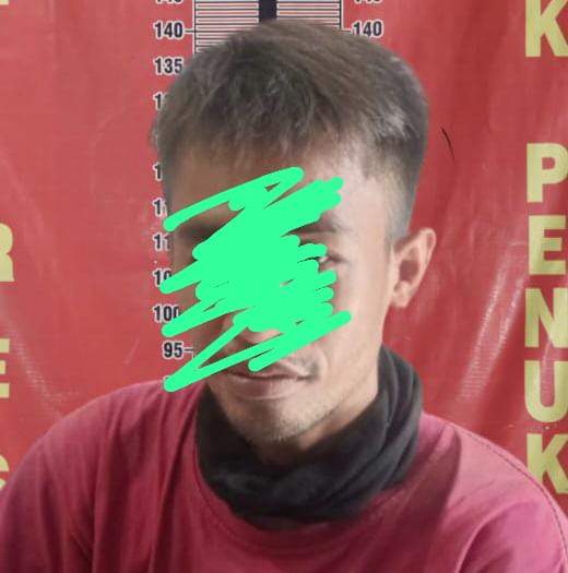 Satu lagi Terduga Pelaku Kasus Pencurian buah Kelapa sawit milik PT Aburahmi Diamankan