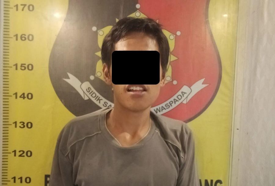 Team Trabazz Polsek Gunung Megang berhasil Tangkap Pelaku Pencurian buah Kelapa Sawit Milik PTPN VII